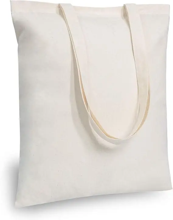 clothes storage bag for closet organization