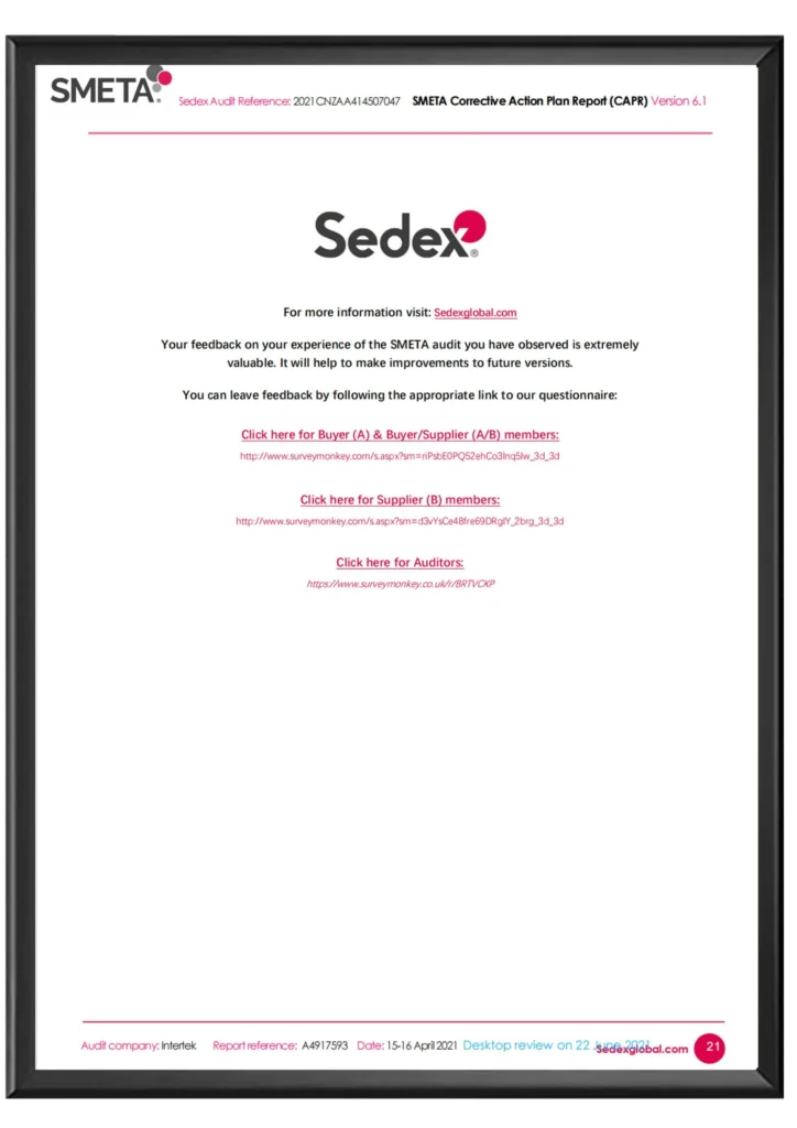 Great Shine SEDEX SMETA audit document