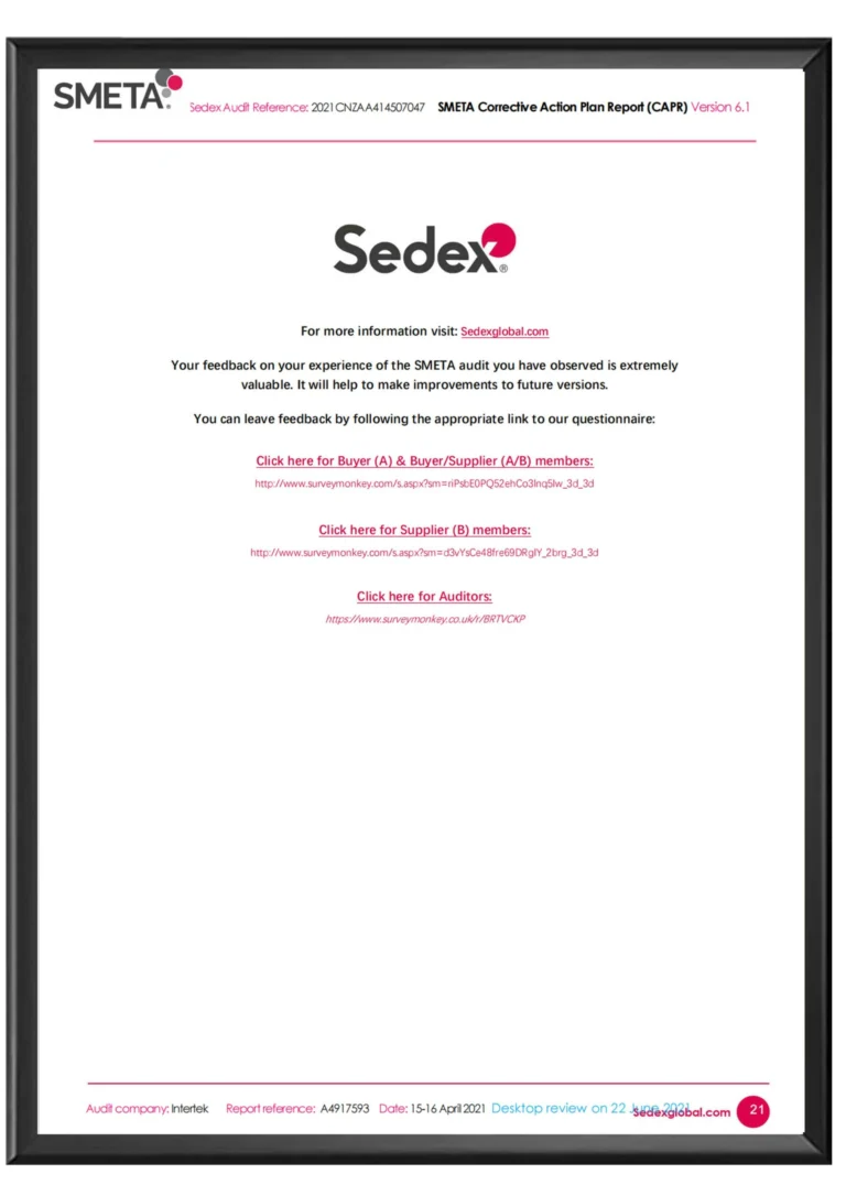 Great Shine SEDEX SMETA audit document