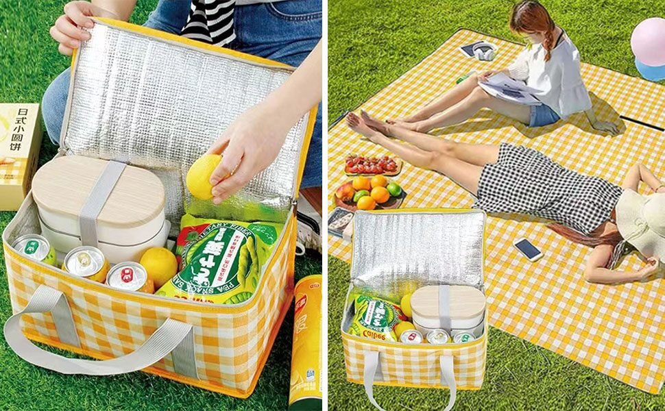 Yellow checked picnic bag open with food containers and drink cans beside a picnic blanket